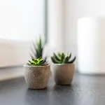 Hozo - Exklusivapartments Der Roze Living Appartement
