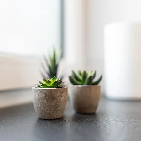 Hozo2-exklusiv Der Roze Living Apartament