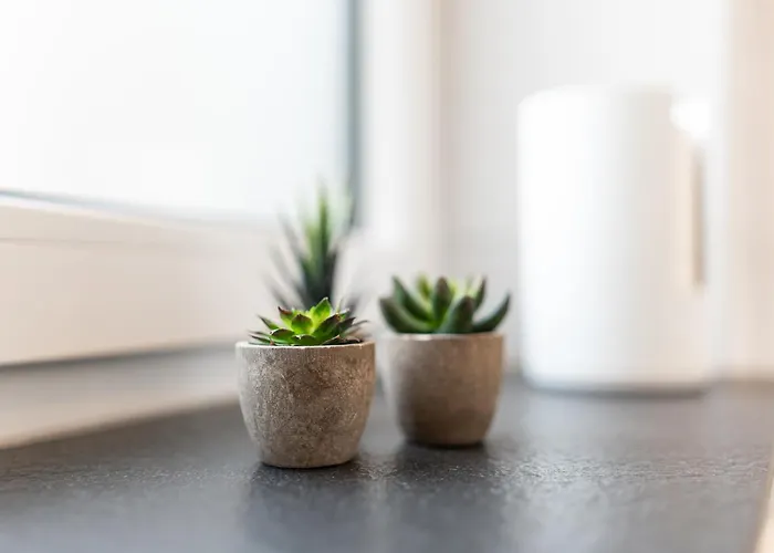 Hozo - Exklusivapartments Der Roze Living Апартаменты